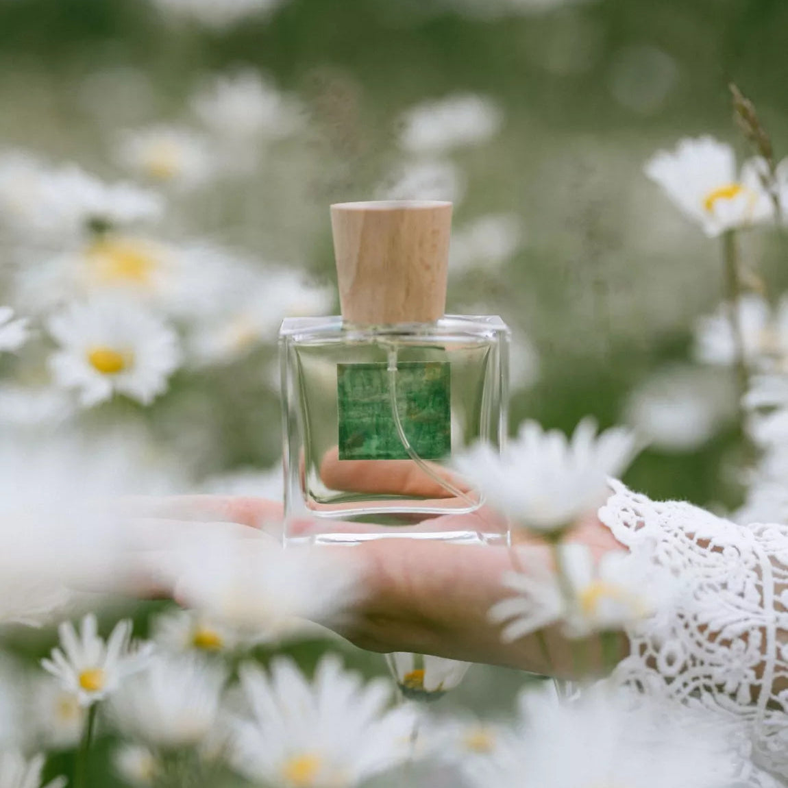 Eau de parfum 50 ml- Eden Volcanique - Auvergne