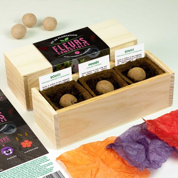 Kit d’Auto-culture Fleurs comestibles (souci, pensée et capucine)