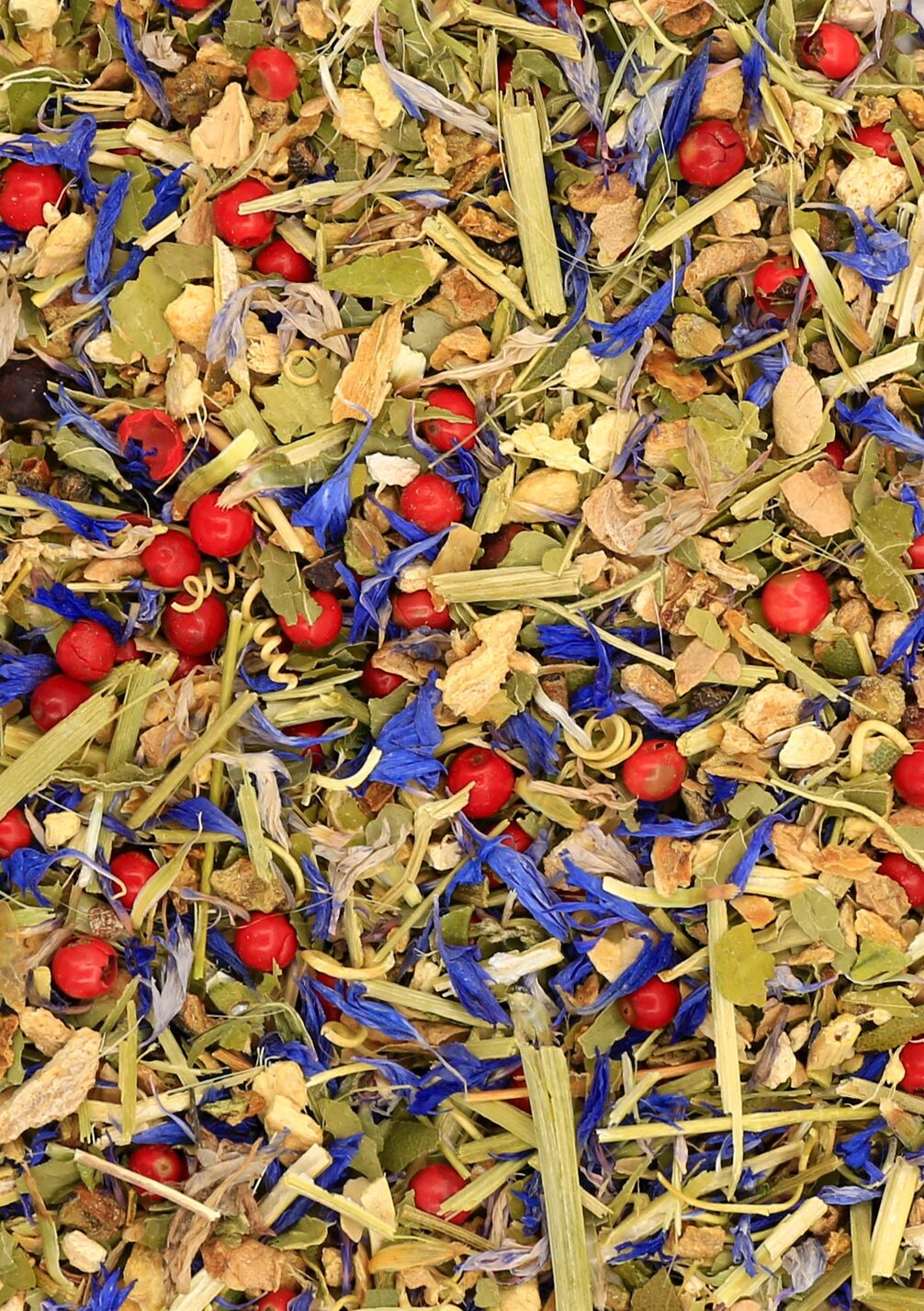 INFUSION BIO FANTASMA (BOÎTE 12 SACHETS) - GINGEMBRE, CITRON, CARDAMOME