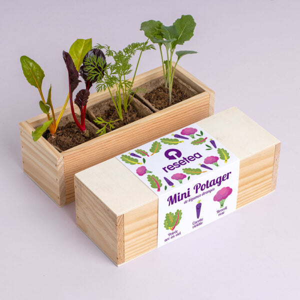 Mini potager de légumes étranges