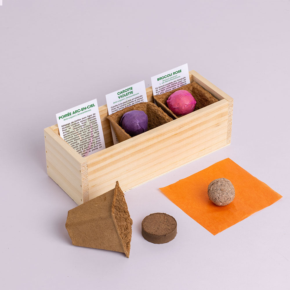 Mini potager de légumes étranges