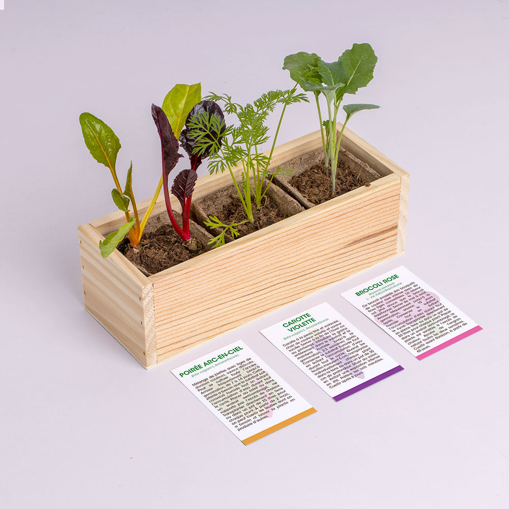 Mini potager de légumes étranges