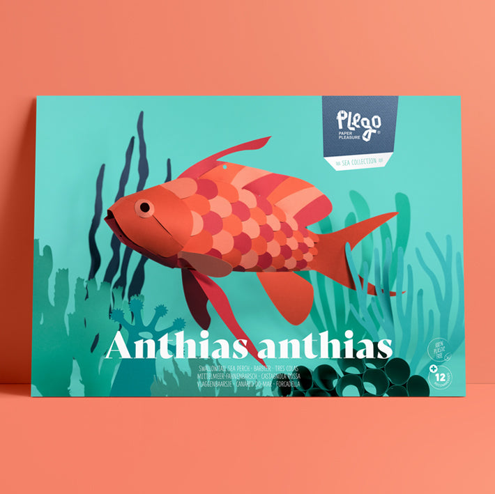 Origami Poisson Barbier - Anthias anthias