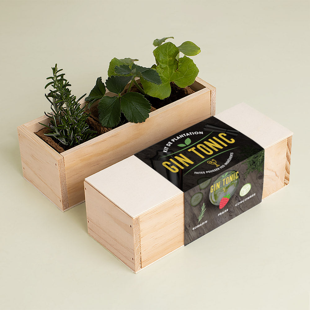 Kit d'Auto-culture Gin Tonic (romarin, fraise et concombre)