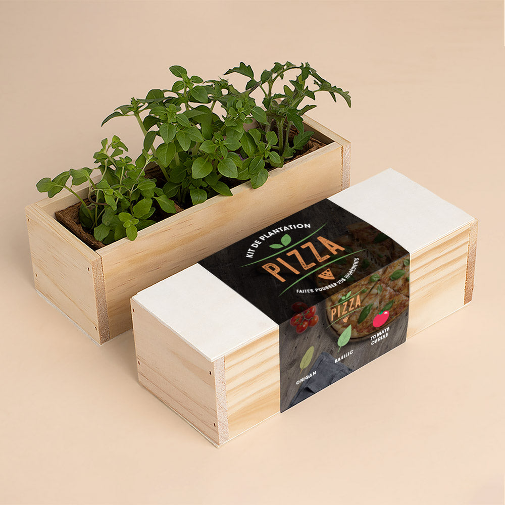 Kit d’Auto-culture Pizza (origan, basilic et tomate cerise)