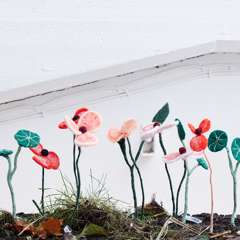 Fleur en laine - Coquelicot rouge corail