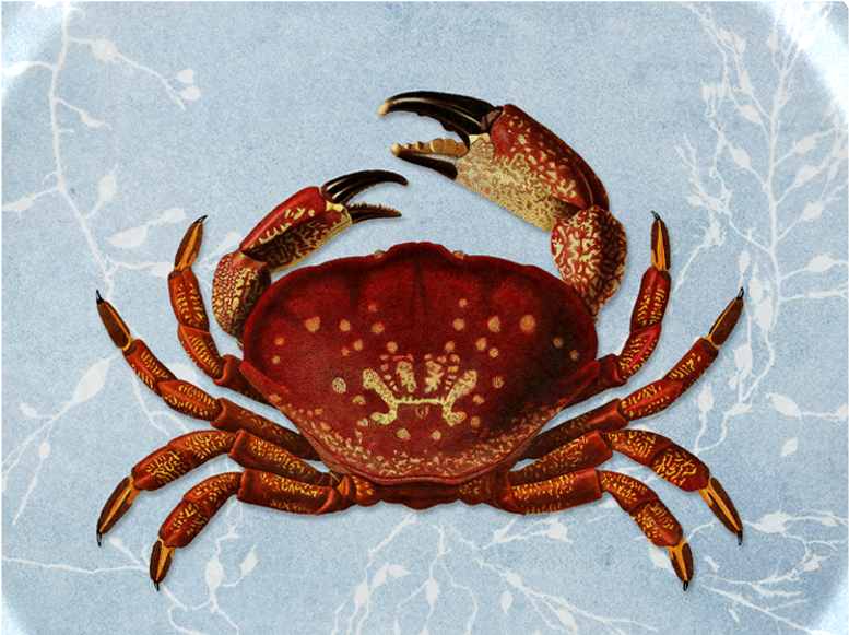 Plateau en bouleau 27 x 20 cm - Crabe