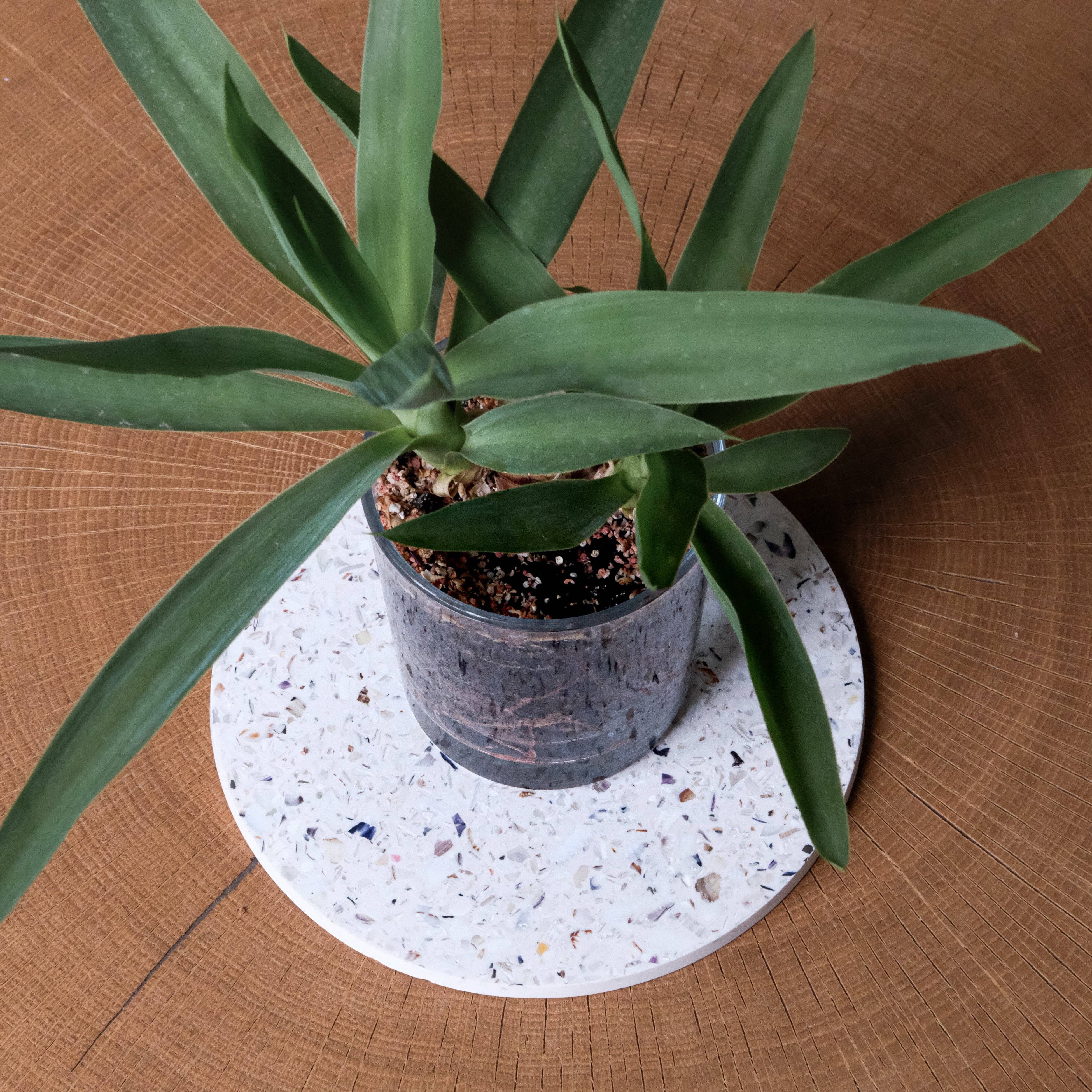 Dessous de plat en coquillages recyclés