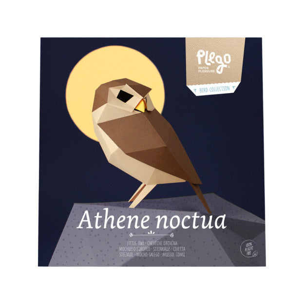 Origami Chouette - Athene noctua