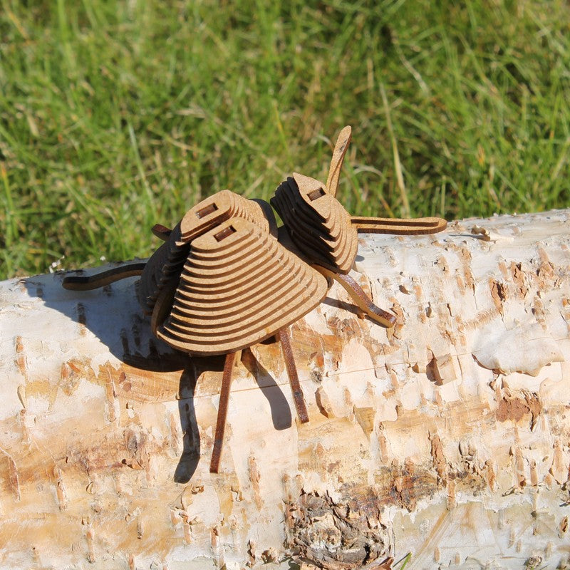 Insecte - Pucetulus en carton coloré