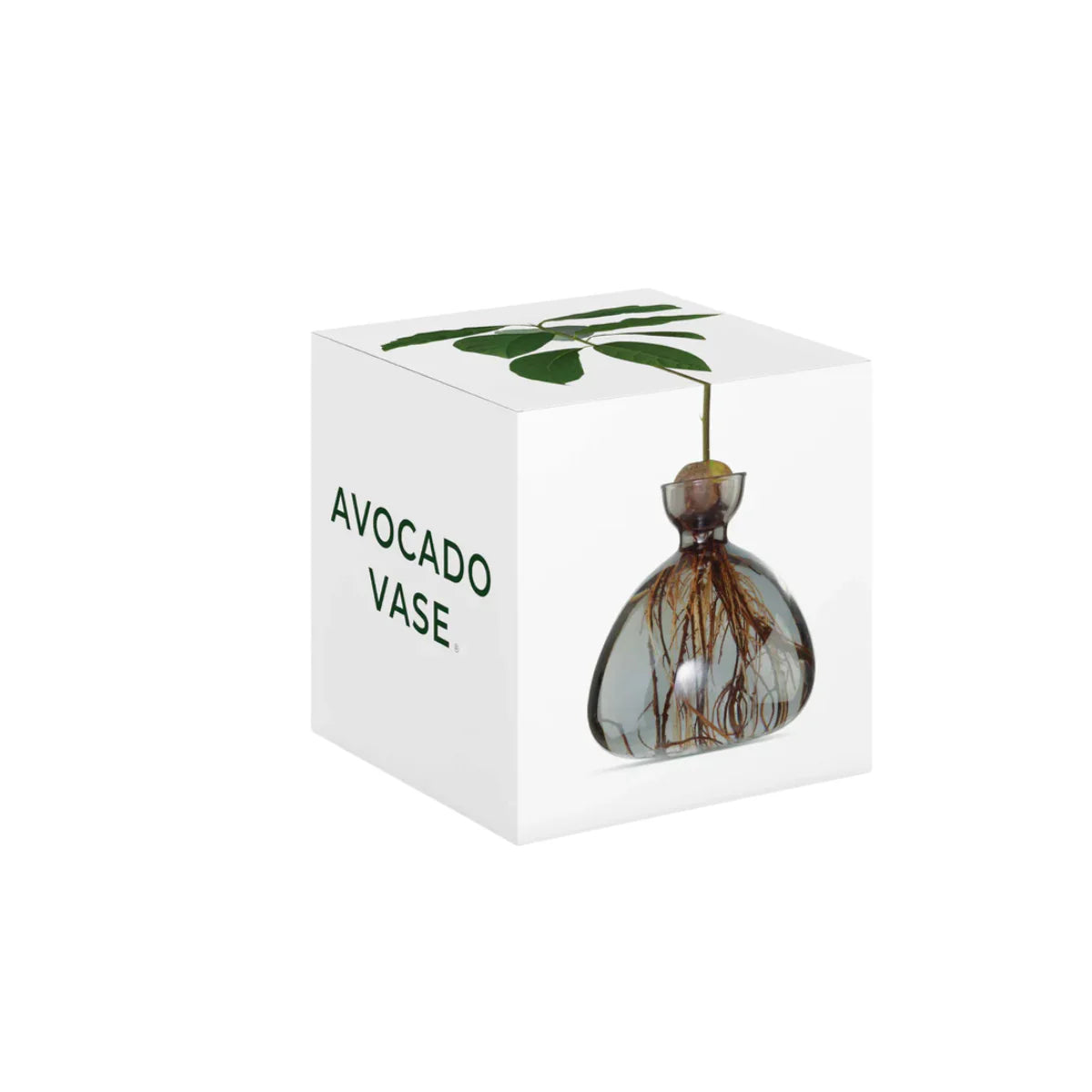 Vase avocat Gris - Smoke Grey